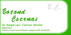 botond csernai business card